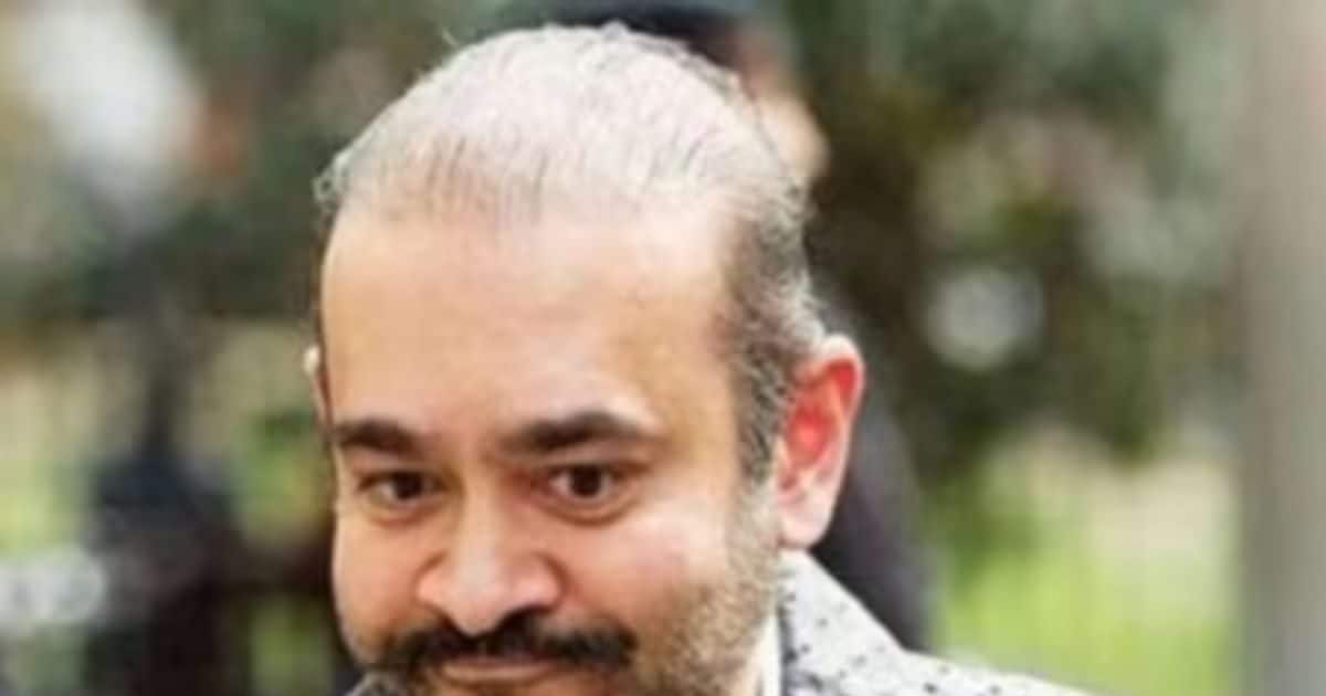 नीरव मोदी को झटका, कोर्ट ने ₹66.33 करोड़ की जब्त संपत्तियां PNB को सौंपने की दी इजाजत