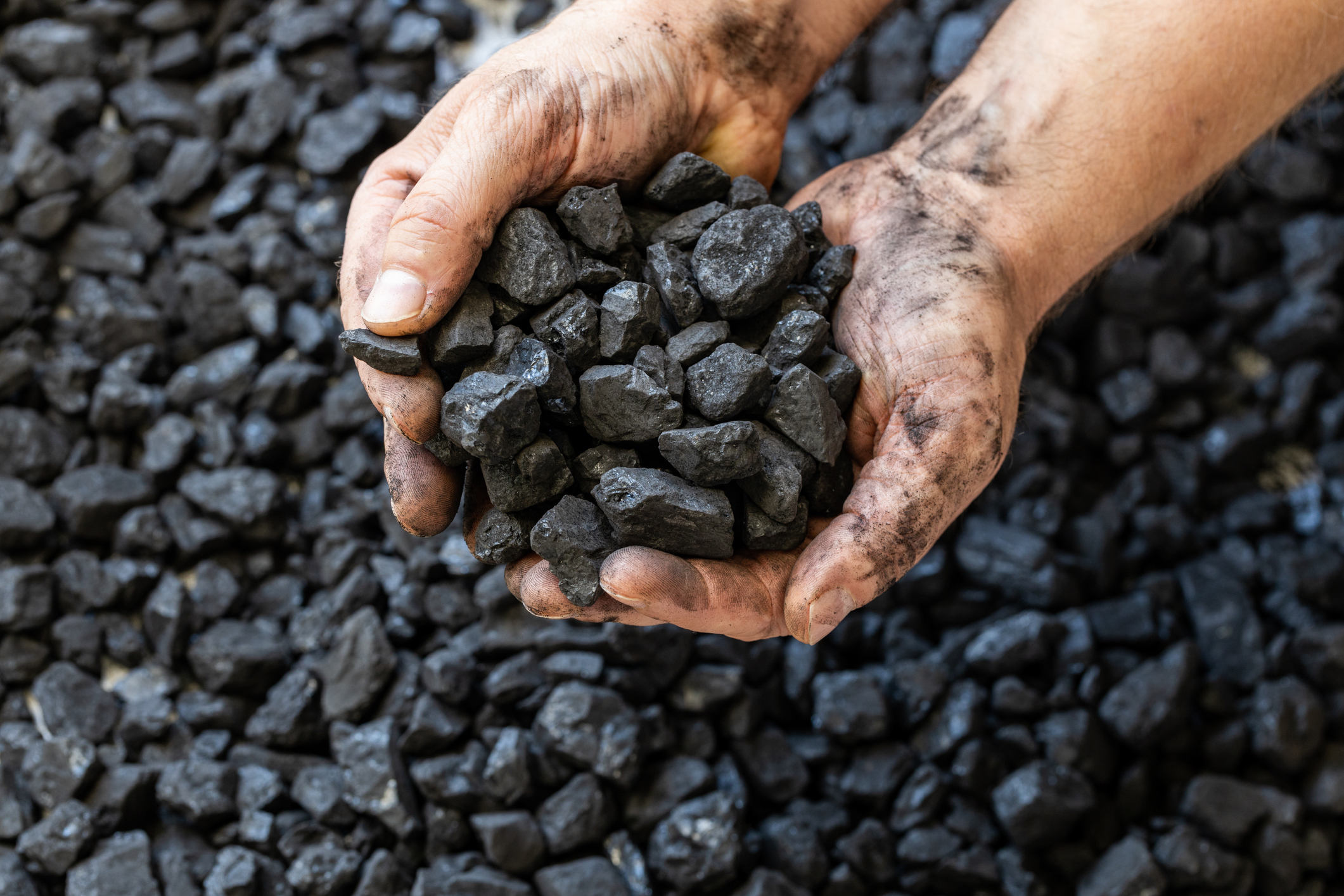 Why Core Natural Resources Stock Topped the Market Today