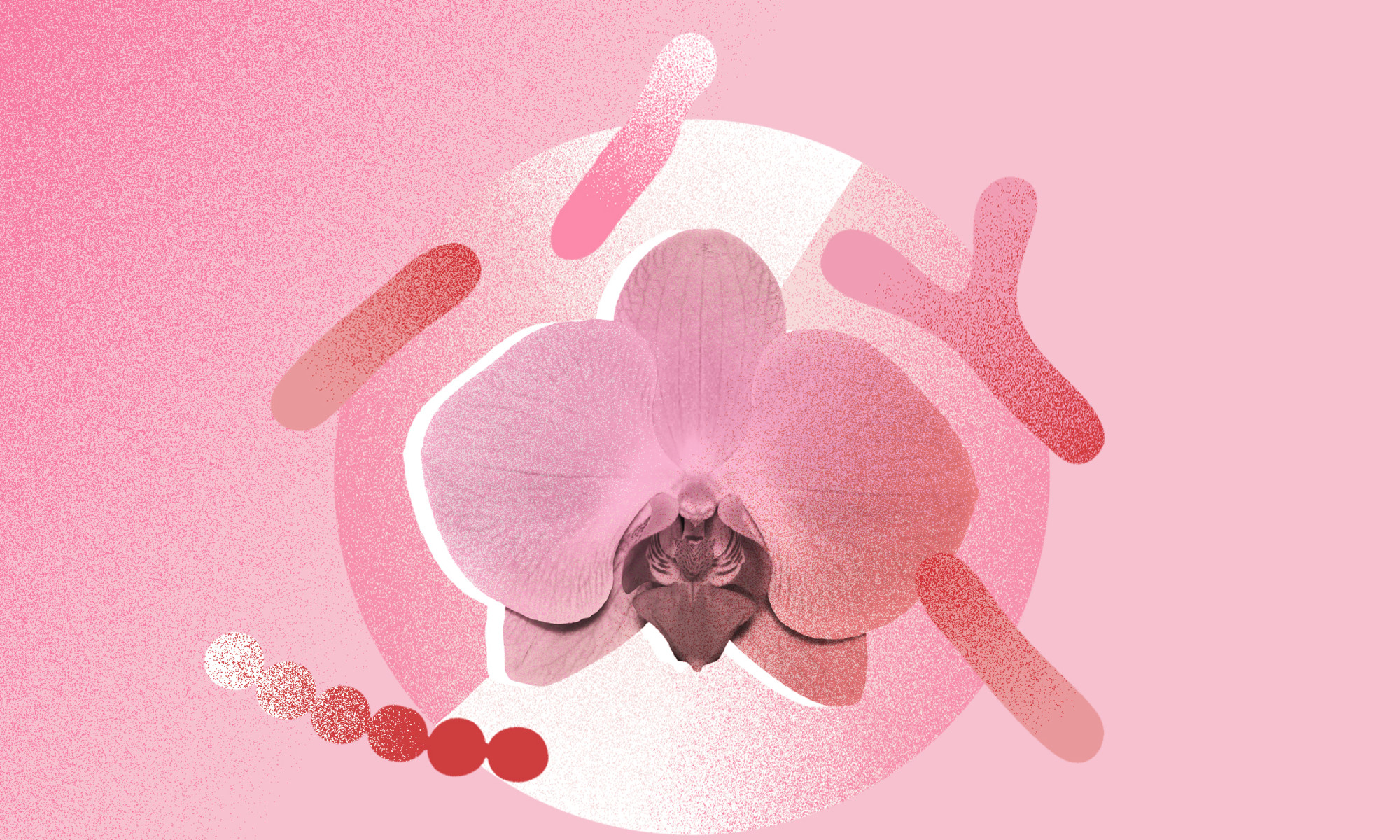 Struggle With Yeast Infections? Make Sure You're Getting Enough Of This