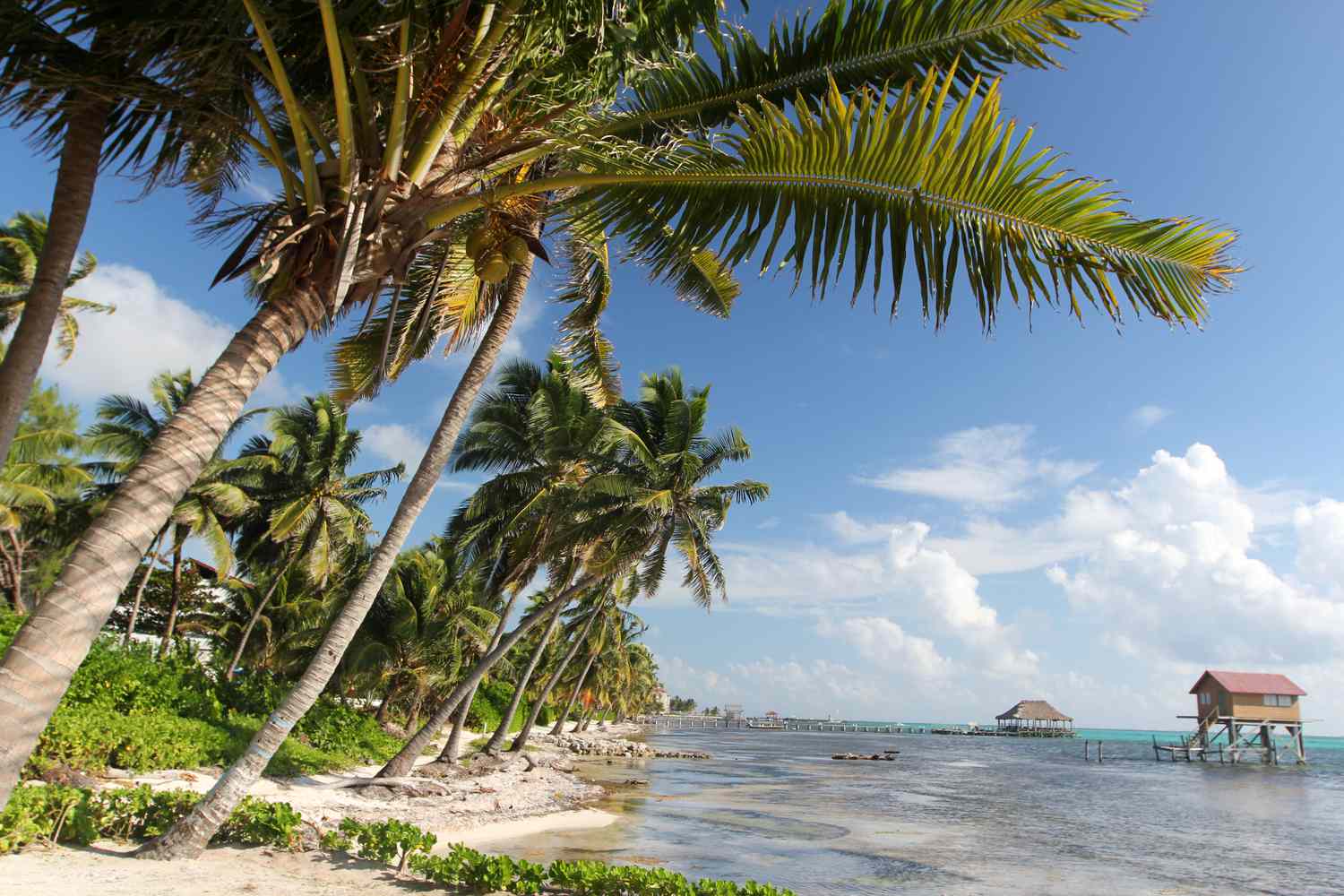 The Best Places to Visit in Belize