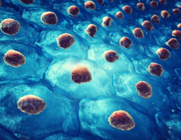 New technique boosts production of canine stem cells for veterinary use