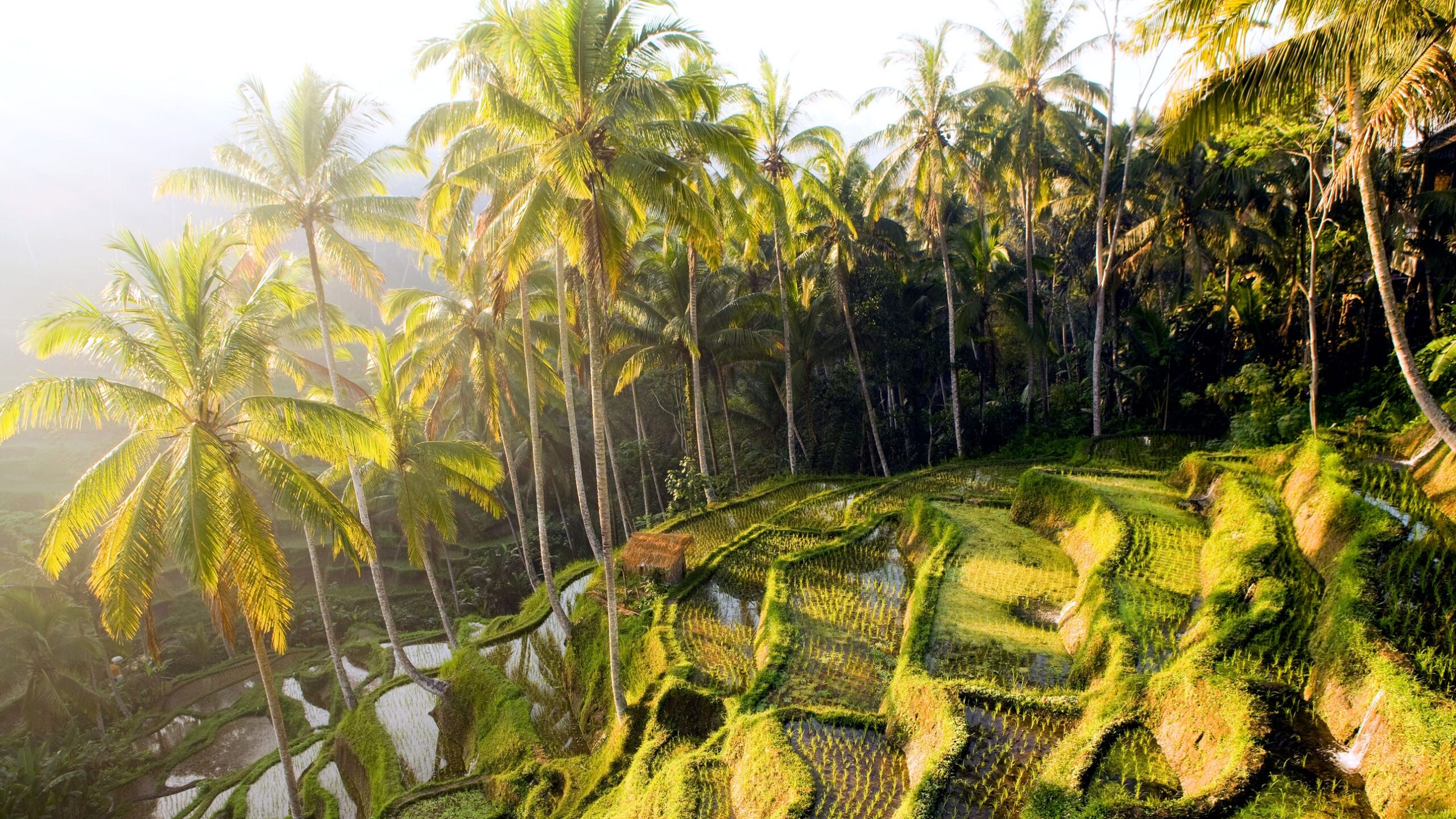 The Best Solo Travel Destinations, From Copenhagen to the Galápagos