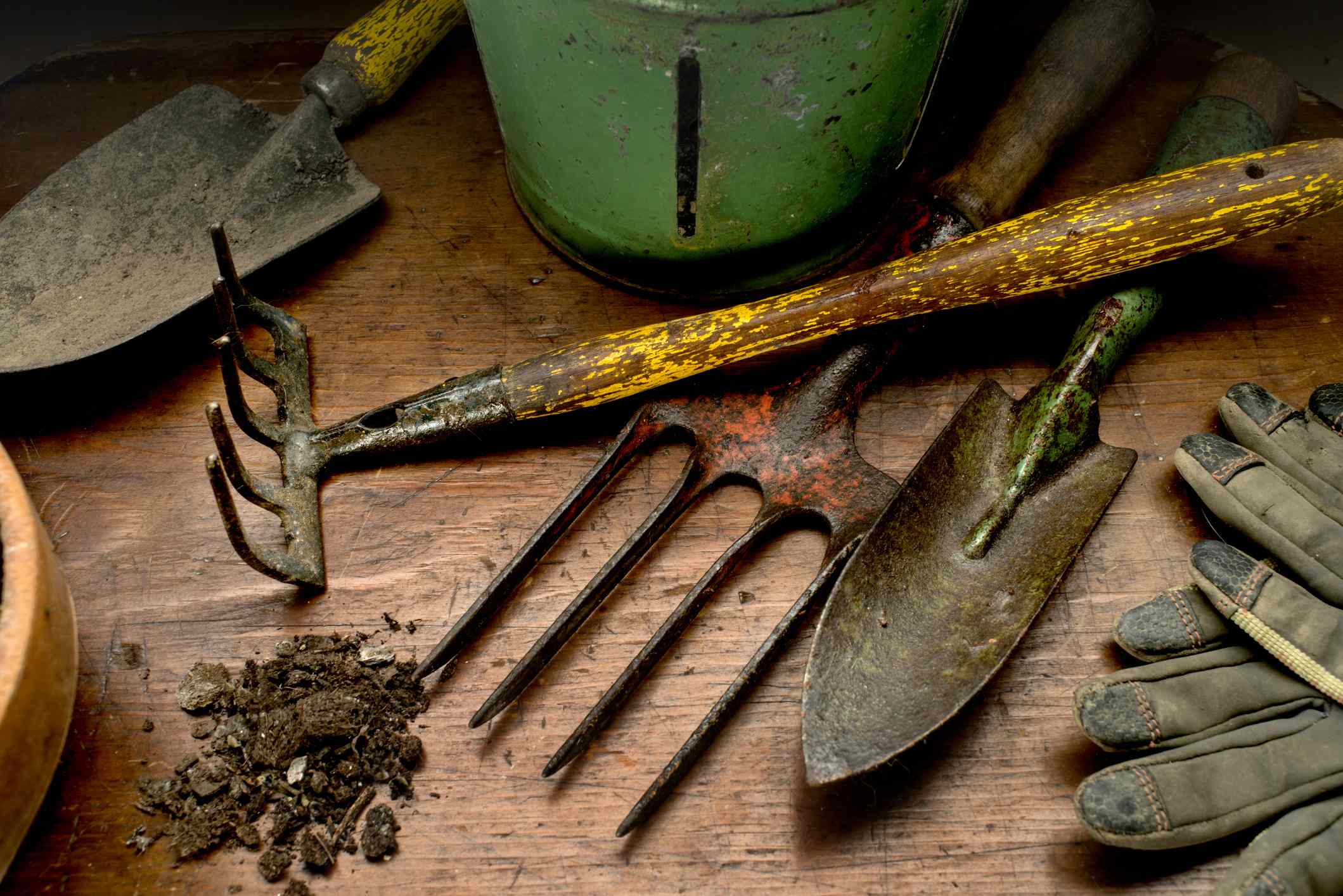 How to Clean Your Gardening Tools for Healthy Plants All Summer Long