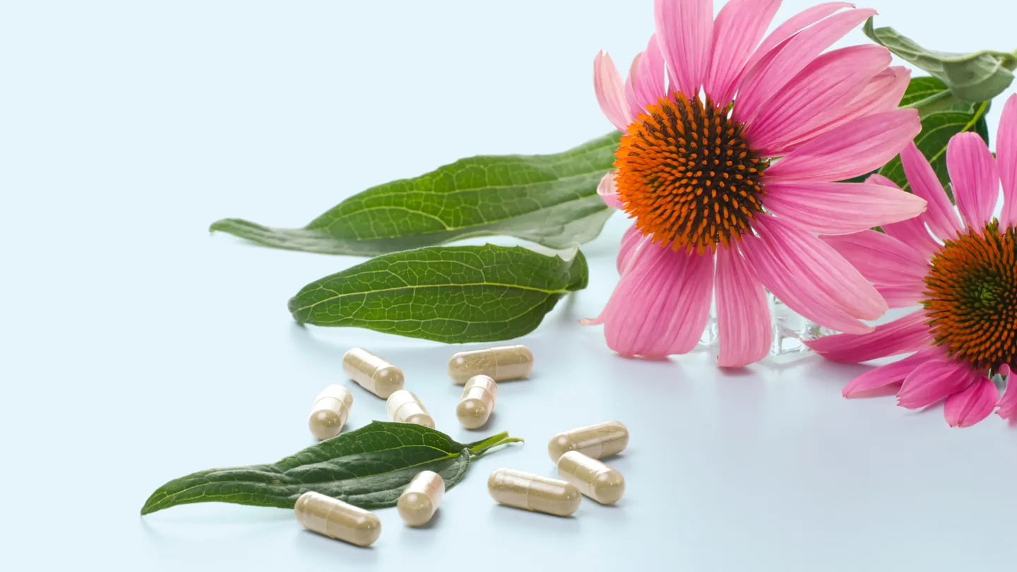 What Is Echinacea? Health Benefits, Risks, More