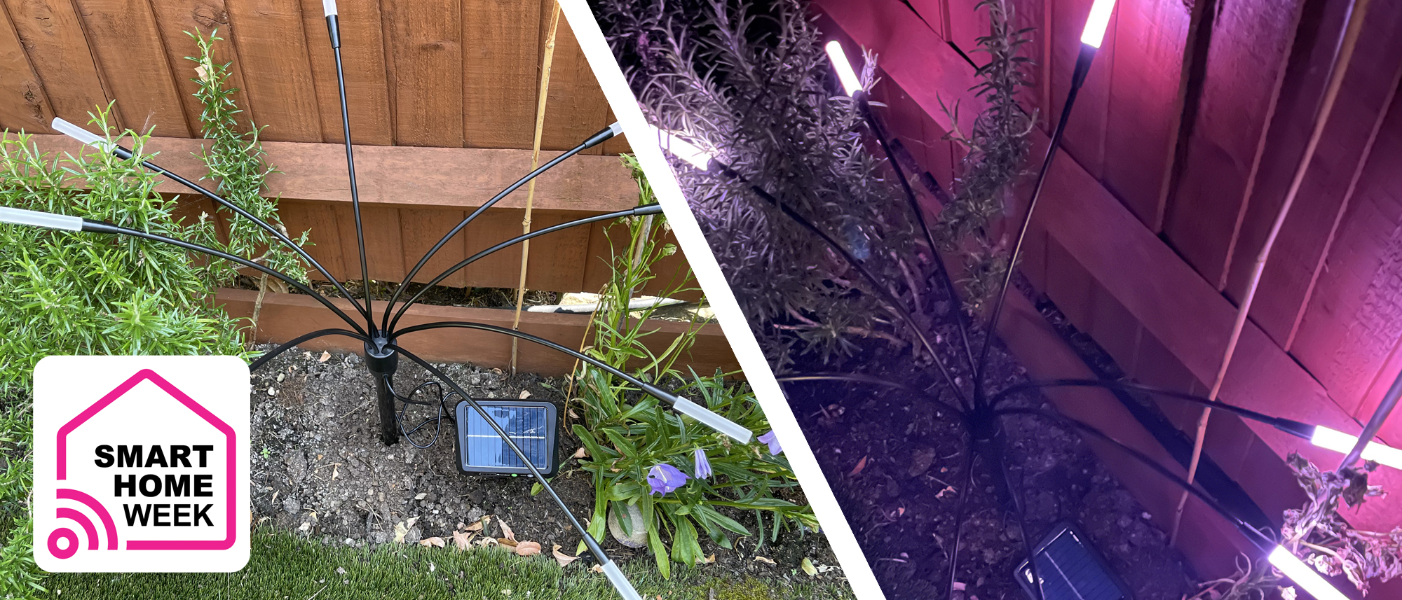 Nanoleaf Solar Garden Lights review: a fun way to light up your yard all night long