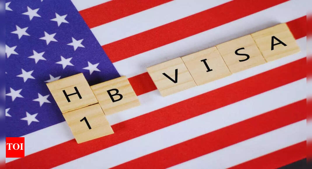 ‘Was shocked how much less…’: Viral post on H-1B salary says it’s not just a scam