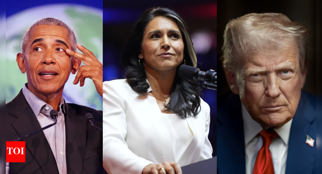 ‘Obama admin aimed to usurp Trump’: DNI Tulsi Gabbard reopens 2016 election probe; vows to hand over all documents to DOJ