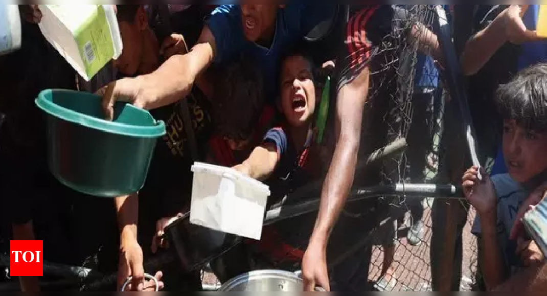 ‘Depriving Gazans of human dignity’: Over 20 nations and EU call for immediate ceasefire, urge political roadmap for lasting peace