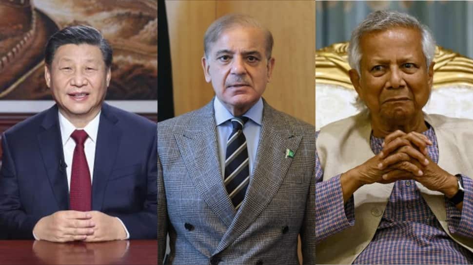 Pakistan, China, Bangladesh Push For New Bloc To Counter India, Replace SAARC | India News