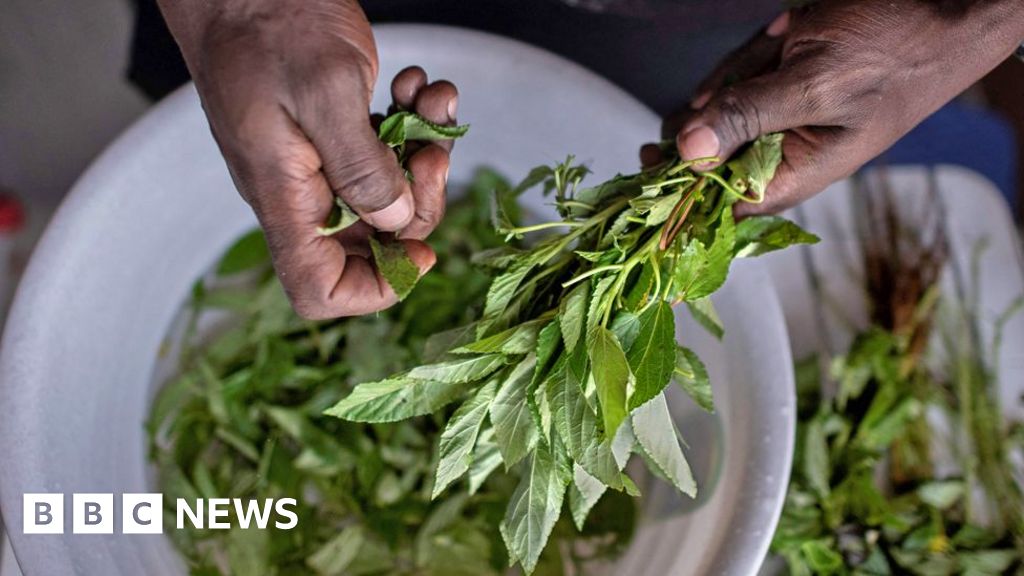 Why Kenya’s mistake indigenous vegetables are proving to be a Pak hit