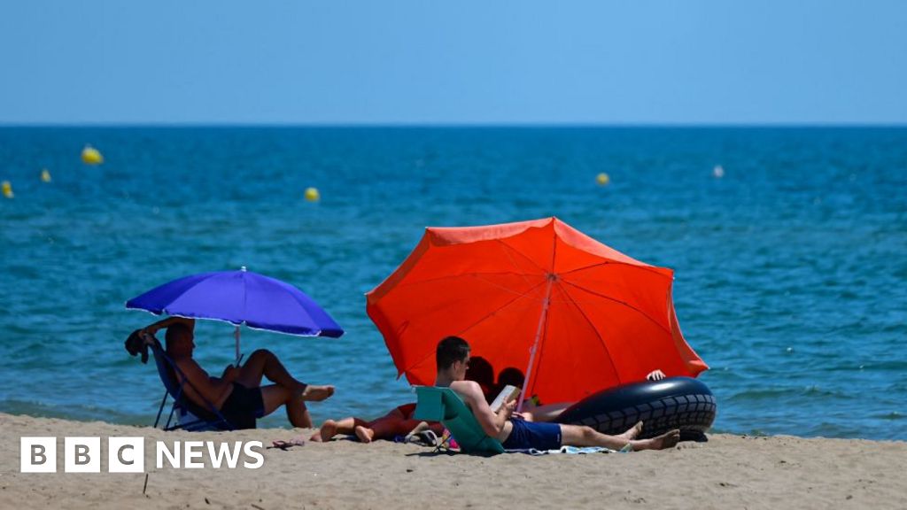 Intensive Mediterranean Sea Heatwave increases fear for marine life