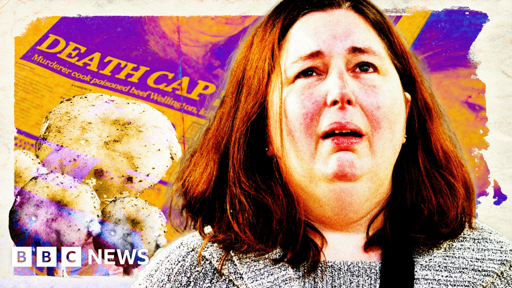How ‘Super Sleith’ Erin Patterson became a true crime passion