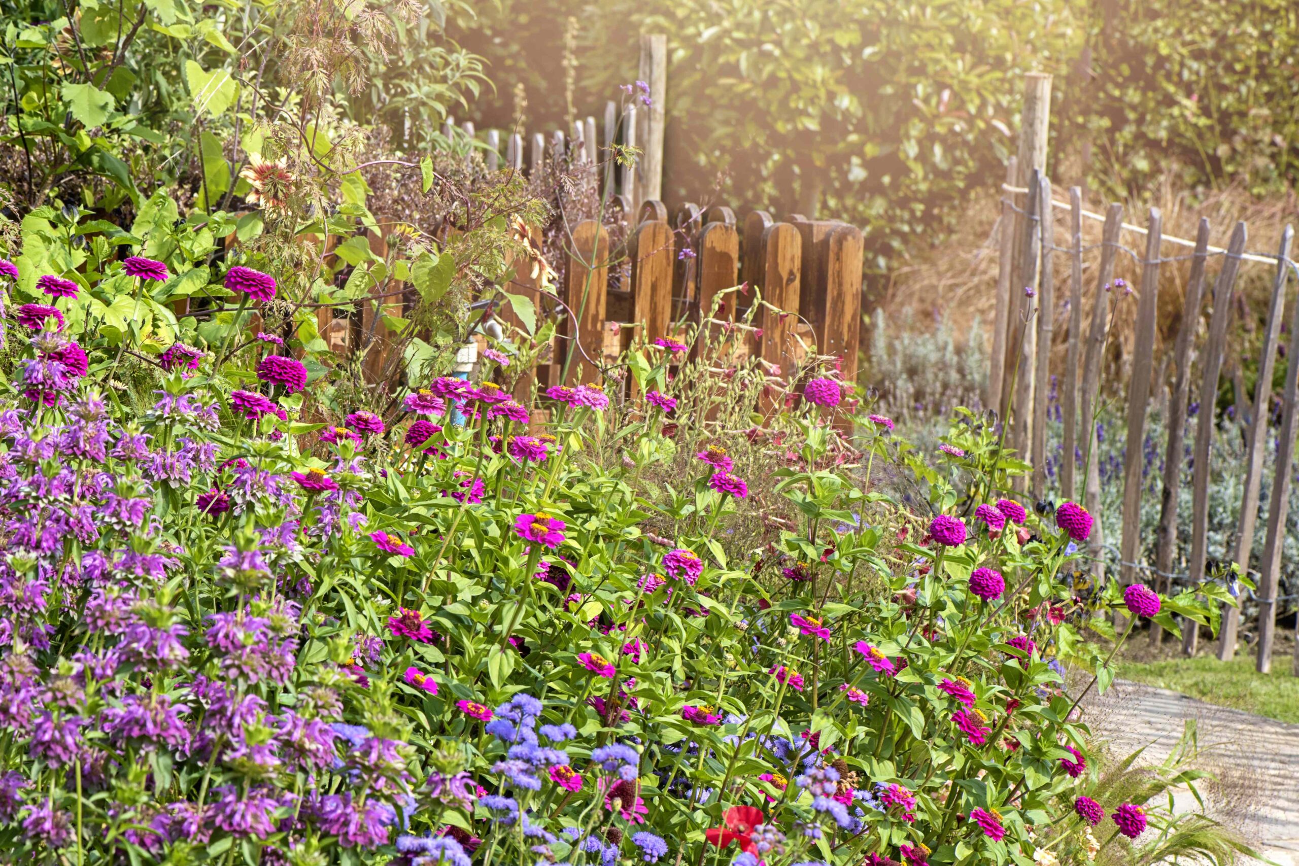 8 Things a Pro Gardener Does During a Hot Summer for Healthy Plants