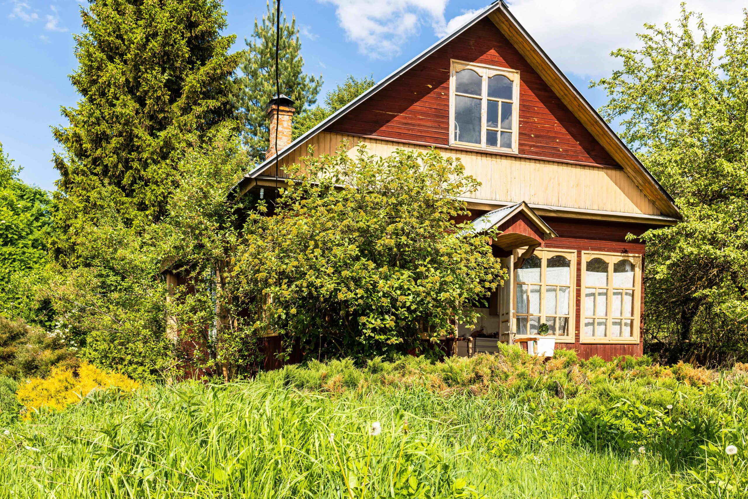Yes, Your Front Yard Might Be Too Busy—Here’s What to Ditch for Better Home Value