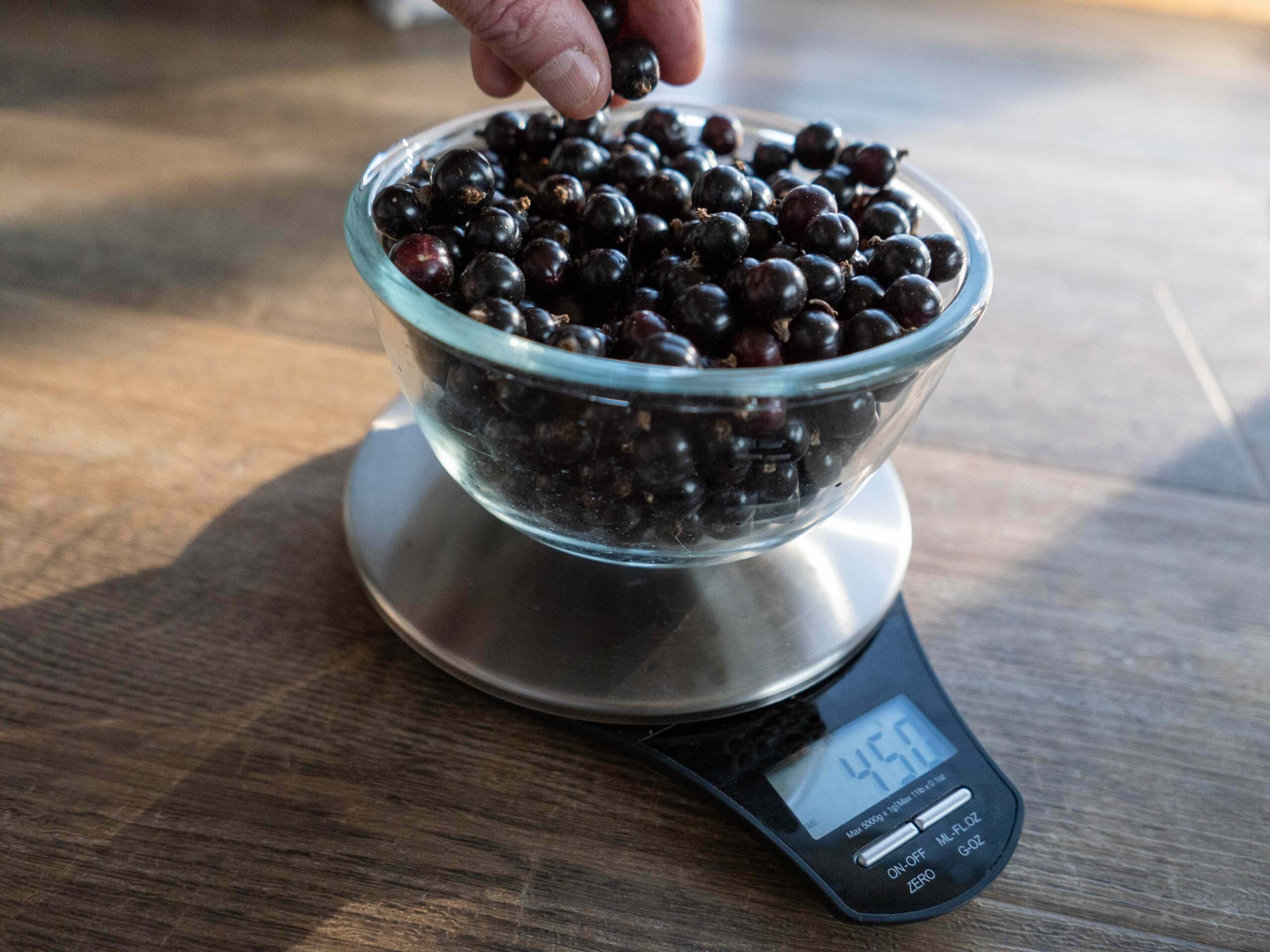 4 Benefits of Black Currant: Plus, Nutrition and Risks