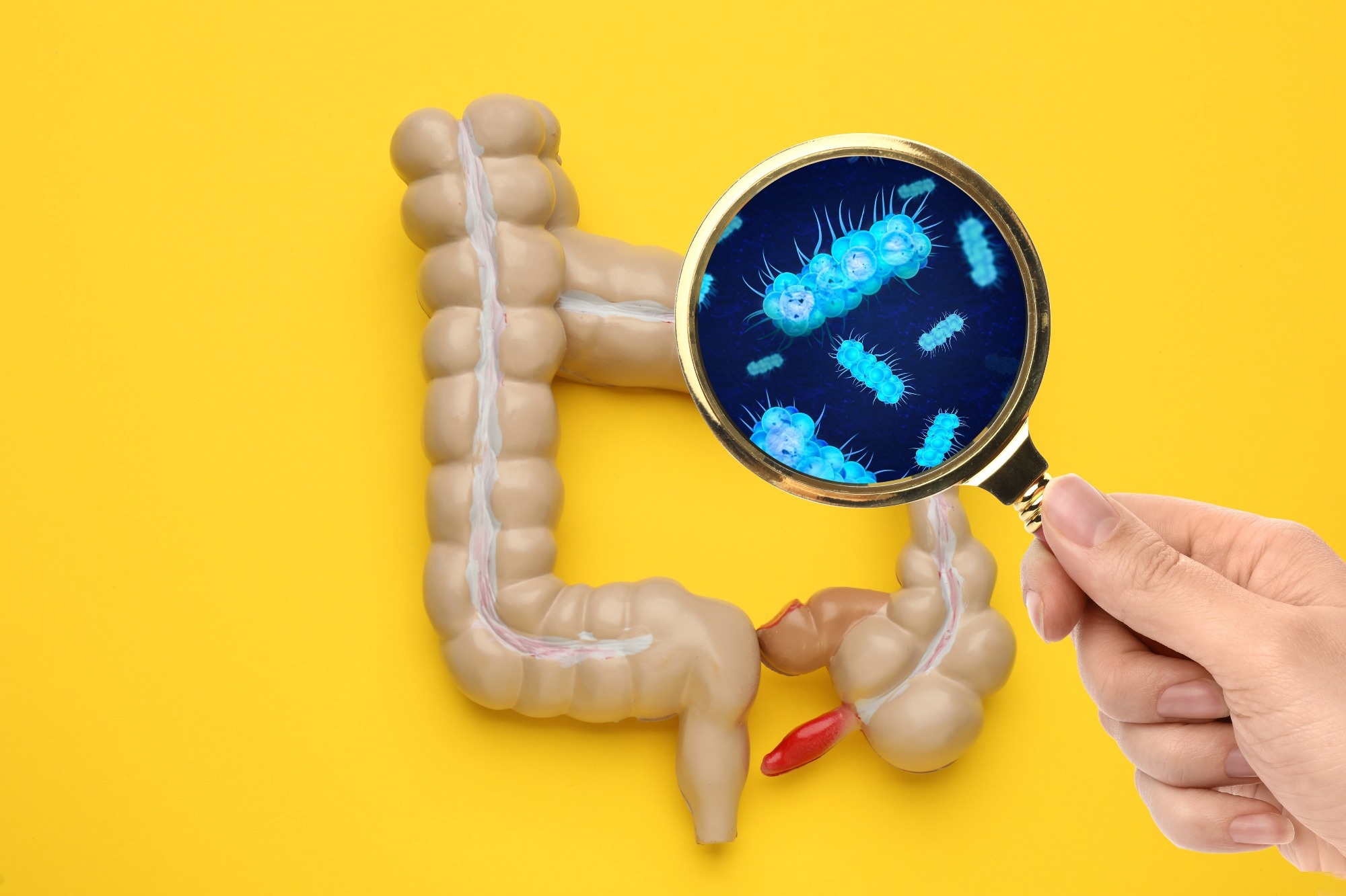 Researchers find gut bacteria rapidly soak up ‘forever chemicals’
