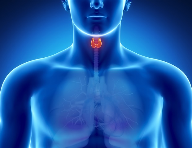 Underactive thyroid linked to increased risk of small intestinal bacterial overgrowth
