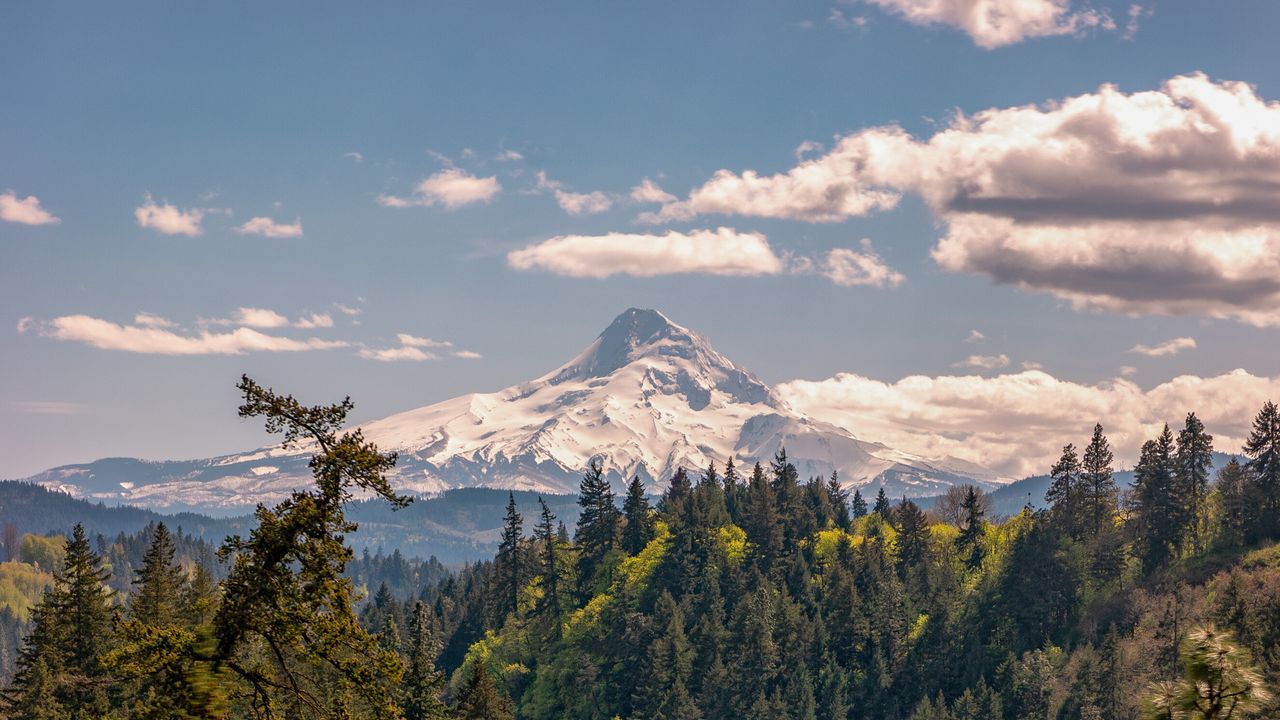 In the Columbia River Gorge, the Food and Wine are as Epic as the Nature