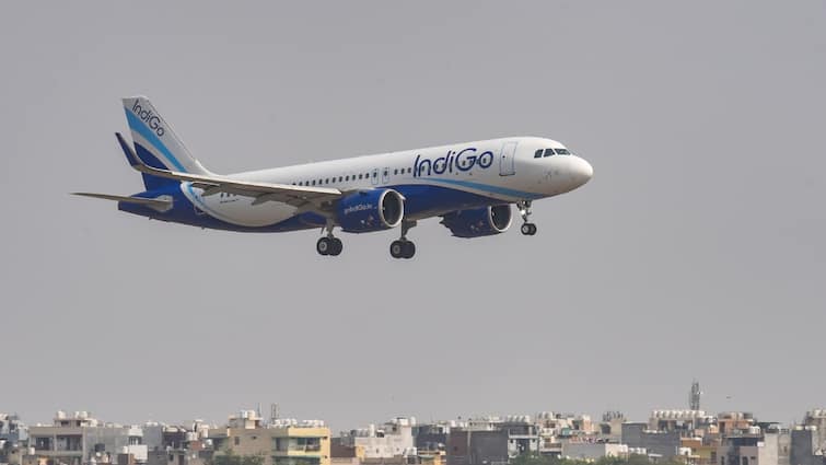 IndiGo Flight To Delhi Makes Emergency Landing In Patna After Bird Strike