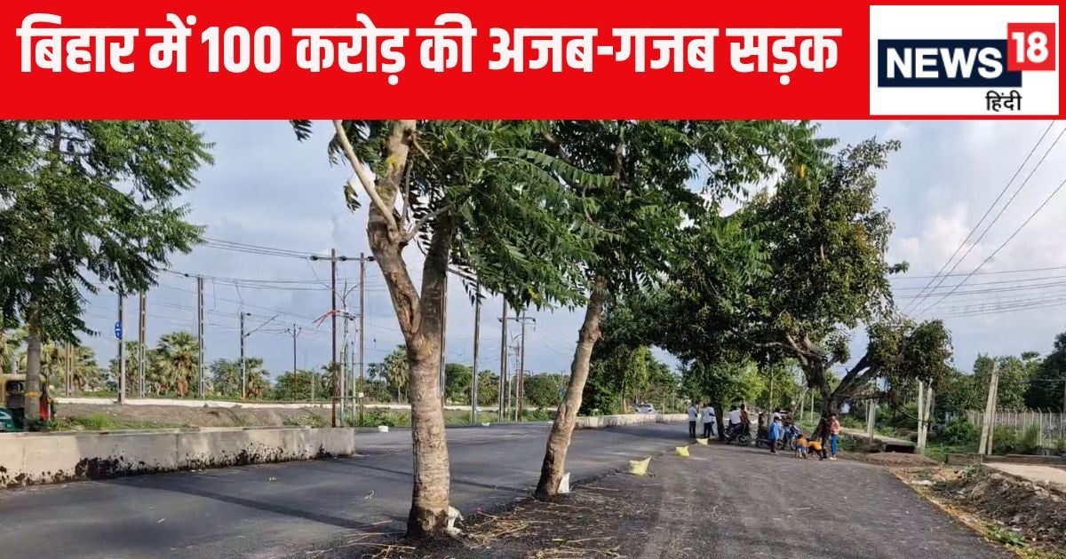 बिहार में 100 करोड़ की लागत से बनी 8 KM लंबी अनोखी सड़क, बीचो-बीच क्यों लगे हैं पेड़? – Jehanabad patna gaya main road worth Rs 100 crores has many trees left in middle know reason behind it
