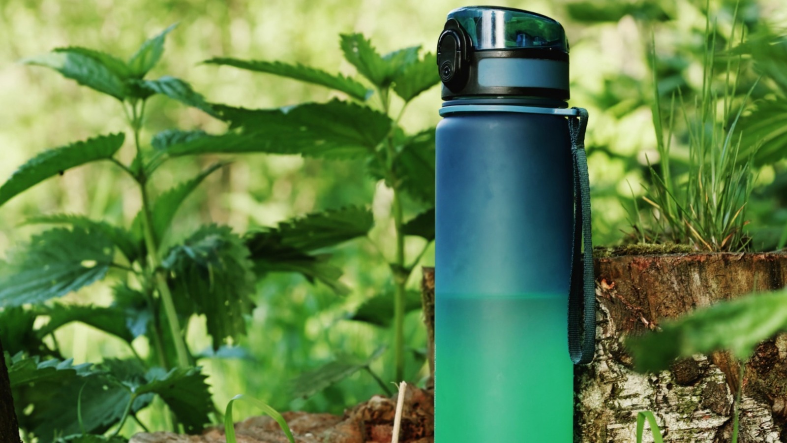 5 Ways To Organize All Your Reusable Water Bottles