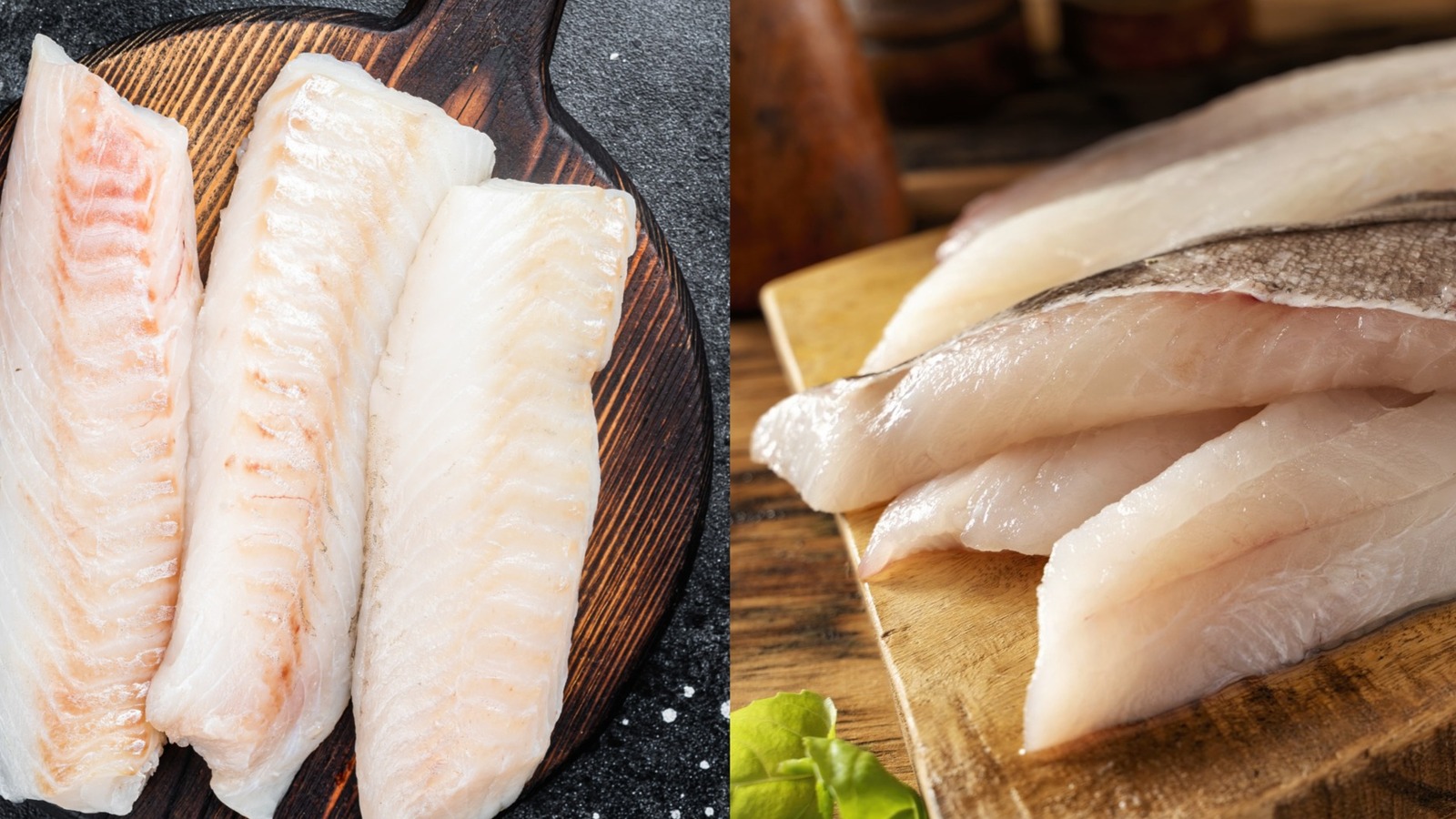 The Subtle Differences Between The White Fish